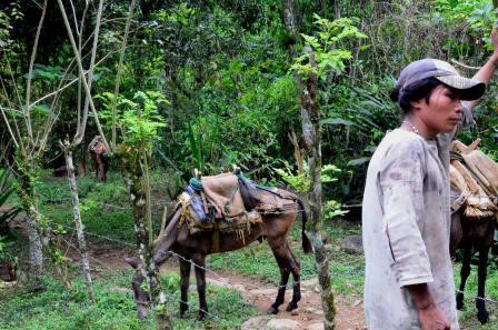 Un indien, Ciudad Perdida